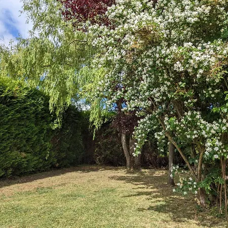 La Logia Du Saule Hébergement de vacances *