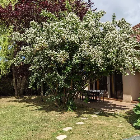 Hébergement de vacances La Logia Du Saule Rilly-la-Montagne